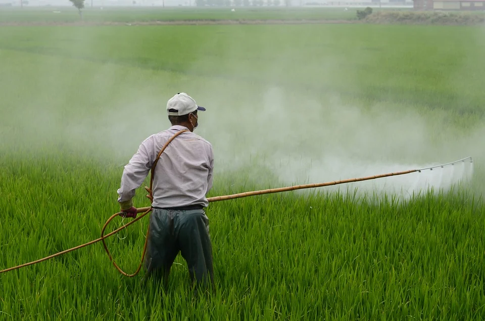 Pesticides Dealer Ambikapur